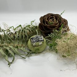 Wedding Ring 