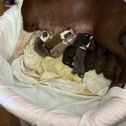 (contact info removed) 