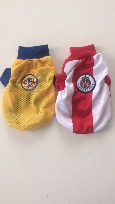 Chivas vs America
