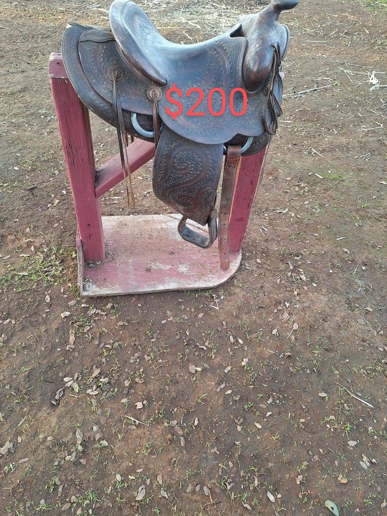 Saddle