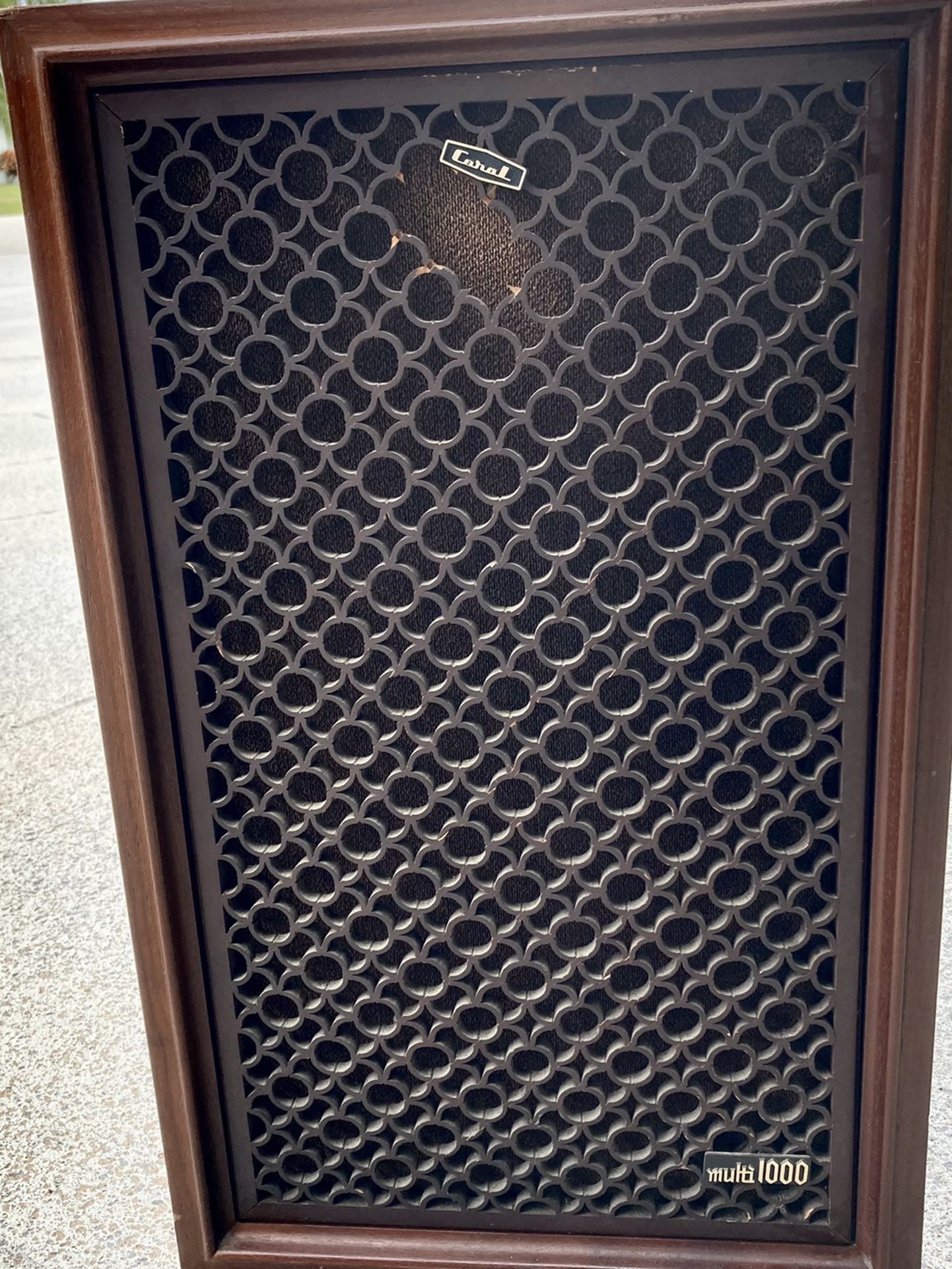 Vintage Coral Audio BX- Multi 1000 Speaker