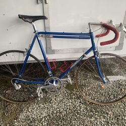 Paterek Road Bike