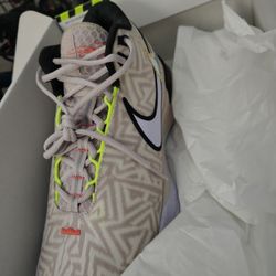 12 LBJ Nikkie Brand New