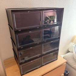 Container Store Shoeboxes L
