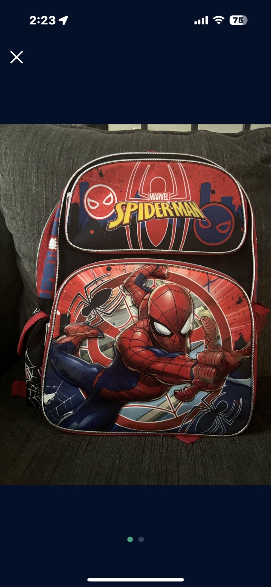 3D Spider-Man Backpack