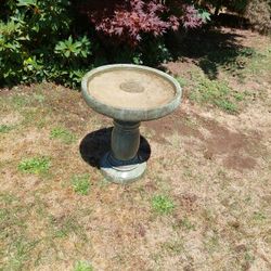 Bird Bath