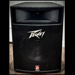 Peavey TLS 5 PA Speaker