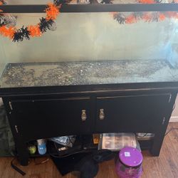 55 Gallon Fish Tank
