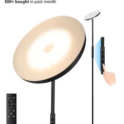 Floor Lamp