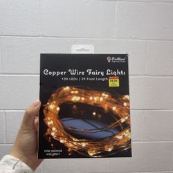 Fairy Twinkle Lights 