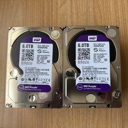 Surveillance System Hard Disks (6TB)