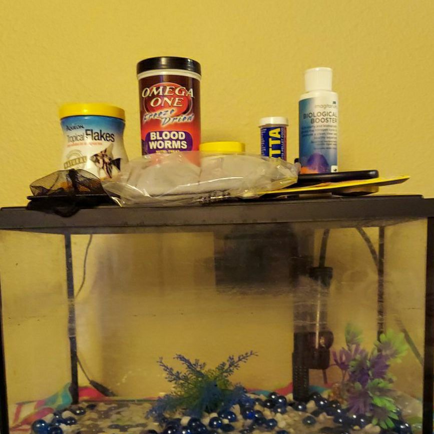 Small Fish Tank and Accessories