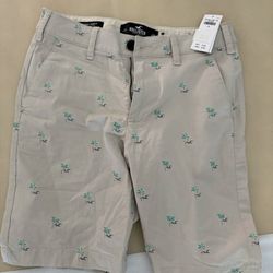 Men’s Hollister shorts