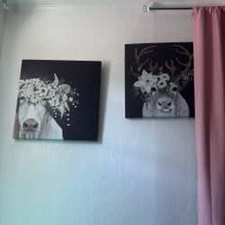 Two Pictures 