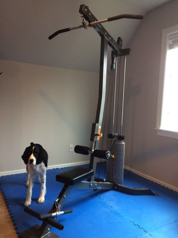 Hoist Lat Pull Down Seated Row Machine For Sale In Kirkland Wa Offerup