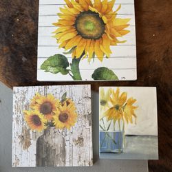 Sunflower Pictures