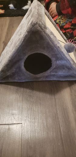 Cat bed