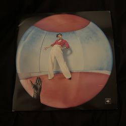 HARRY STYLES VINYL