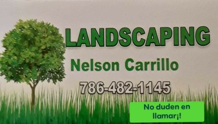 Hacemos de todos y no nuden en llamar a Nelson Carrillo