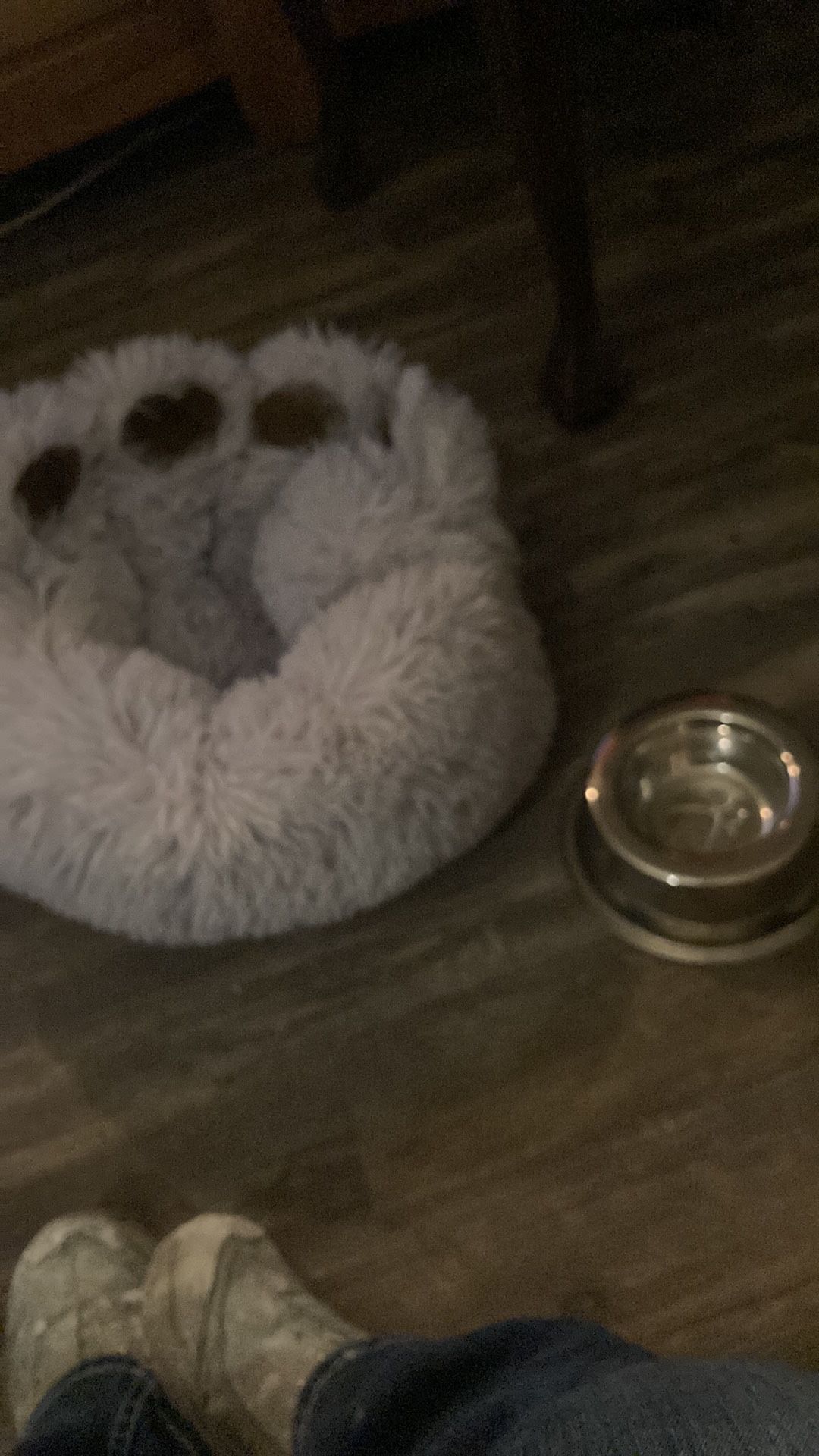 Dog bed with stainless steel bowl