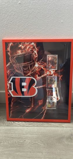 NFL sport card display
