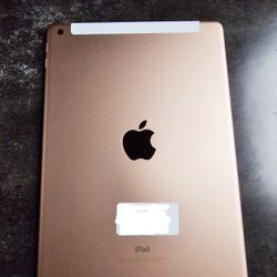 IPad 6th Gen Cellular & Wifi Capability 