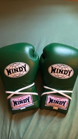 Windy boxing gloves