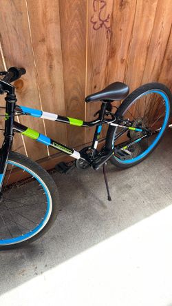 Guardian bike bike 24”
