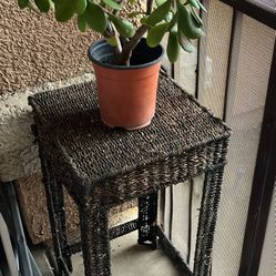 Love ❤️ Jade Plant Includes The Table Corner ( 14x14) , Height 28 Inch 
