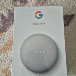 Google Nest Mini