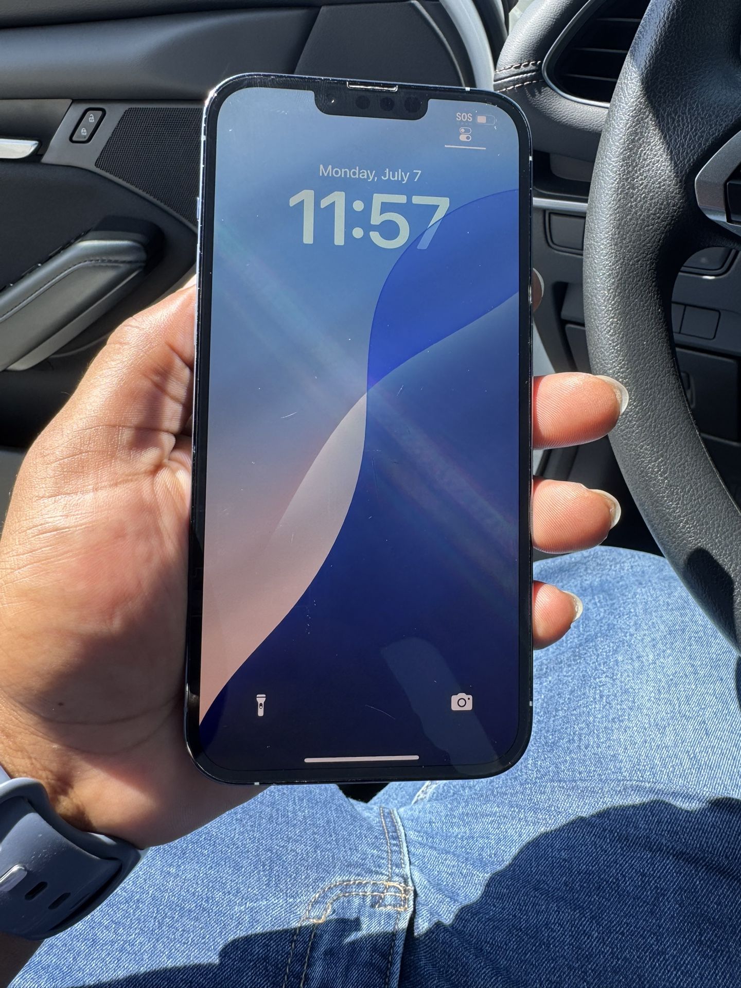 iPhone 13 Pro Max