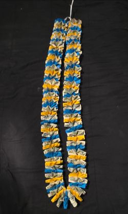 $50  money lei