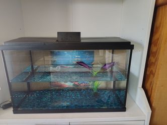 10gal starter tank