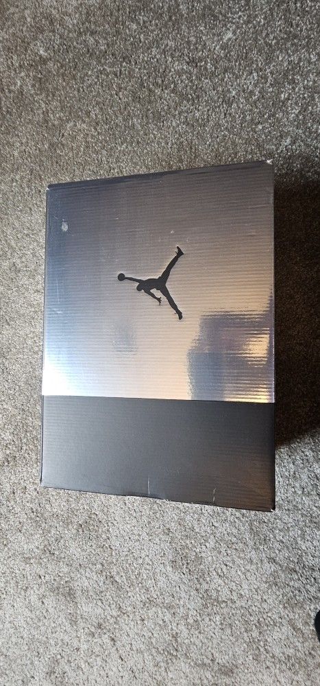 Jordan 6 "Chrome" SIZE 10.5