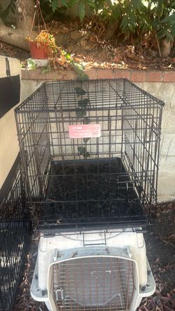 Small Dog Crate