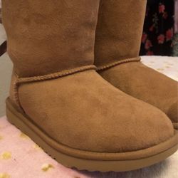 UGG Boots Brand New 