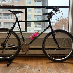 Univega Vintage Mountain Bike  - 22”