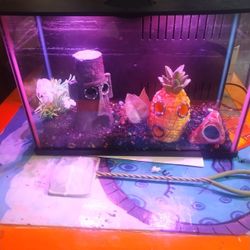 Small Fish Tank 