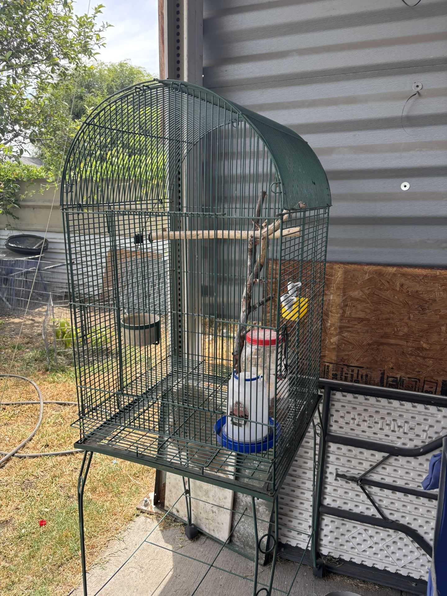 Bird Cage