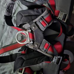 msa Full body harness