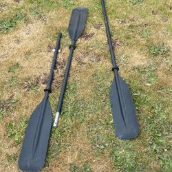 Paddles 
