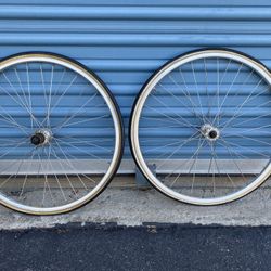 24”  Wheels for a Youth Road Bike or Adult Trike 