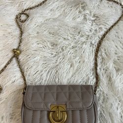 Mini Purse With With Gold Chain 