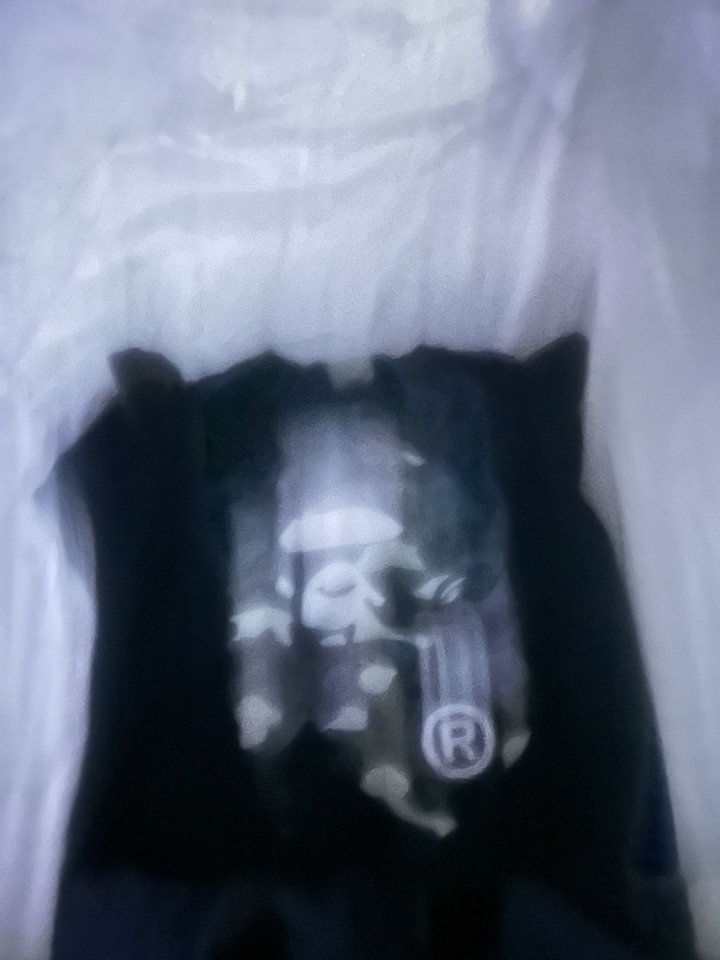 BAPE TEE AUTHENTIC