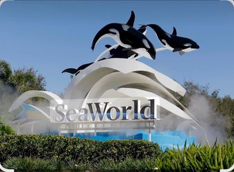 Seaworld Entrance