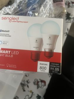 Smart light bulbs