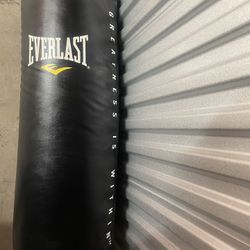 Everlast Heavy Bag
