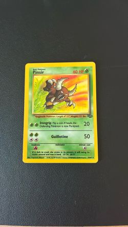 Pinsir Jungle Holo | MP
