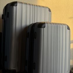 CALPAK Ambeur 2 Piece Travel Luggage Set Silver & Black