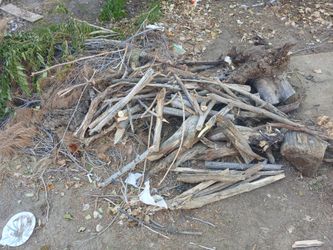 Free firewood, fence posts